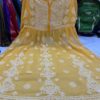 Georgette_panel_gown_with_chikankari_work_in