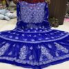 Modal_gown_with_chikankari_wrk_in
