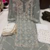 Georgette_front_jaal_kurti_with_chikankari_work_in
