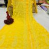 lucknawi_georgette_chikankari_in__only