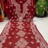Georgette_panel_kurti_with_chikankari_work_in