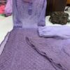 Georgette_daul_shade_dye_set_with_chikankari