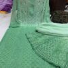 Georgette_daul_shade_dye_set_with_chikankari