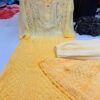 Georgette_daul_shade_dye_set_with_chikankari