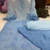 Georgette_daul_shade_dye_set_with_chikankari