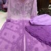 Georgette_daul_shade_dye_set_with_chikankari