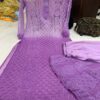 Georgette_daul_shade_dye_set_with_chikankari