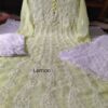 Georgette_yok_anarkali_with_chikankari_work