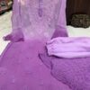 Georgette_dye_kurti_set__with_chikankari_work