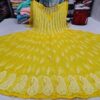 Georgette__kali_anarkali_with_chikankari_work