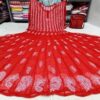 Georgette__kali_anarkali_with_chikankari_work
