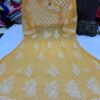 Georgette_yok_dori_gown_with_chikankari_work