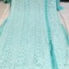 Georgette_front_jaal_side_pearl_kurti__with_chikankari_work