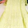 Georgette_front_jaal_side_pearl_kurti__with_chikankari_work