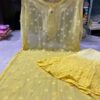 Georgette_daul_shade_dye_kurti_set_with_chikankari_work