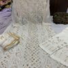 Georgette_mahi_panel_kurti_with_gota_&_chikankari_work