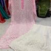 Georgette_panel_front_jaal_kurti_with_chikankari_work