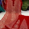Georgette_panel_front_jaal_kurti_with_chikankari_work