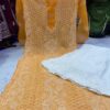 Georgette_panel_front_jaal_kurti_with_chikankari_work