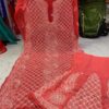 Georgette_panel_front_jaal_kurti_with_chikankari_work