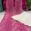Georgette_panel_front_jaal_kurti_with_chikankari_work