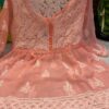 Georgette_short_top_with_chikankari_work