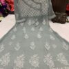 Georgette_yok_dori_gown_with_chikankari_work