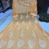 Georgette_yok_dori_gown_with_chikankari_work
