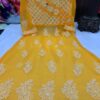 Georgette_yok_dori_gown_with_chikankari_work