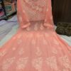Georgette_yok_dori_gown_with_chikankari_work