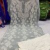 Georgette_panel_kurti_with_pearl_and_chikankari_work