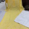 Voile_Cotton_front_jaal_kurti_with_chikankari_work