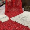 Georgette_yok_front_jaal_kurti_with_mirror_and_chikankari_work