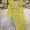 Georgette_panel_kurti_with_gota_and_chikankari_work