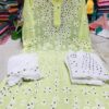 Georgette_panel_kurti_with_mirror_and_chikankari_work