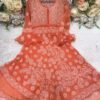 Georgette_bell_sleeves_layer_gown_with_chikankari_work