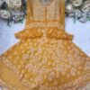Georgette_bell_sleeves_layer_gown_with_chikankari_work