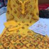 Georgette_faizia_daman_kurti_with_chikankari_work
