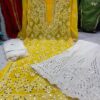 Georgette_buta_kurti_with_mirror_&_with_chikankari_work