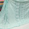 Georgette_all_over_jaal_saree_with_chikankari_work