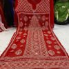 Georgette_qureshia_panel_kurti_with_chikankari_work