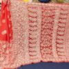 Georgette_skirt_border_saree_&_blouse_with_chikankari_work