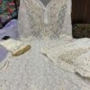 Georgette_Patti_jaal_kurti_with_chikankari_work