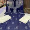 Georgette_patya_gala_buti_kurti_with_chikankari_work
