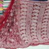 Georgette_half_jaal_saree_chikankari_work