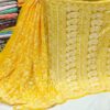 Georgette_half_jaal_saree_chikankari_work