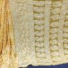 Georgette_half_jaal_saree_chikankari_work
