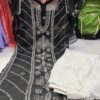 Georgette_panel_kurti_with_chikankari_work
