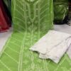 Georgette_panel_kurti_with_chikankari_work