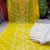 Georgette_panel_kurti_with_chikankari_work
